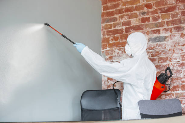 Best Dehumidification Services  in Millers Creek, NC