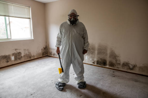 Best Residential Mold Inspection & Testing  in Millers Creek, NC