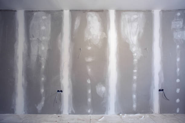 Best Attic Mold Removal  in Millers Creek, NC